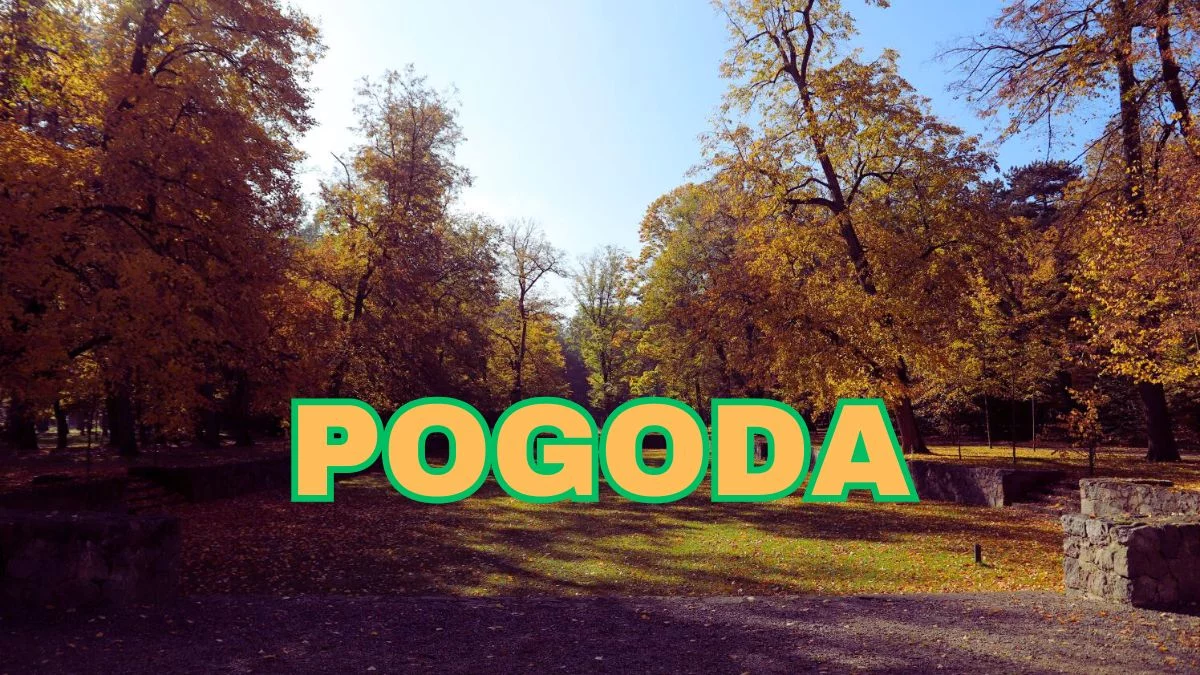 Pogoda na weekend dla łódzkiego. Jakie są prognozy? - Zdjęcie główne