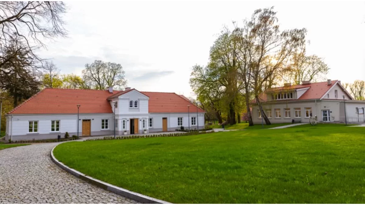 Film pod gwiazdami zamiast sali kinowej. Kino plenerowe wraca