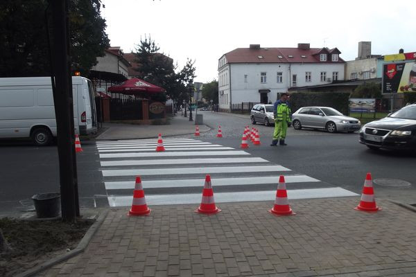 Zebra przeszła za skrzyżowanie - Zdjęcie główne