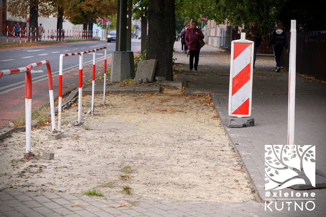 Więcej zieleni w centrum Kutna. Trwają prace przy jednej z ulic - Zdjęcie główne