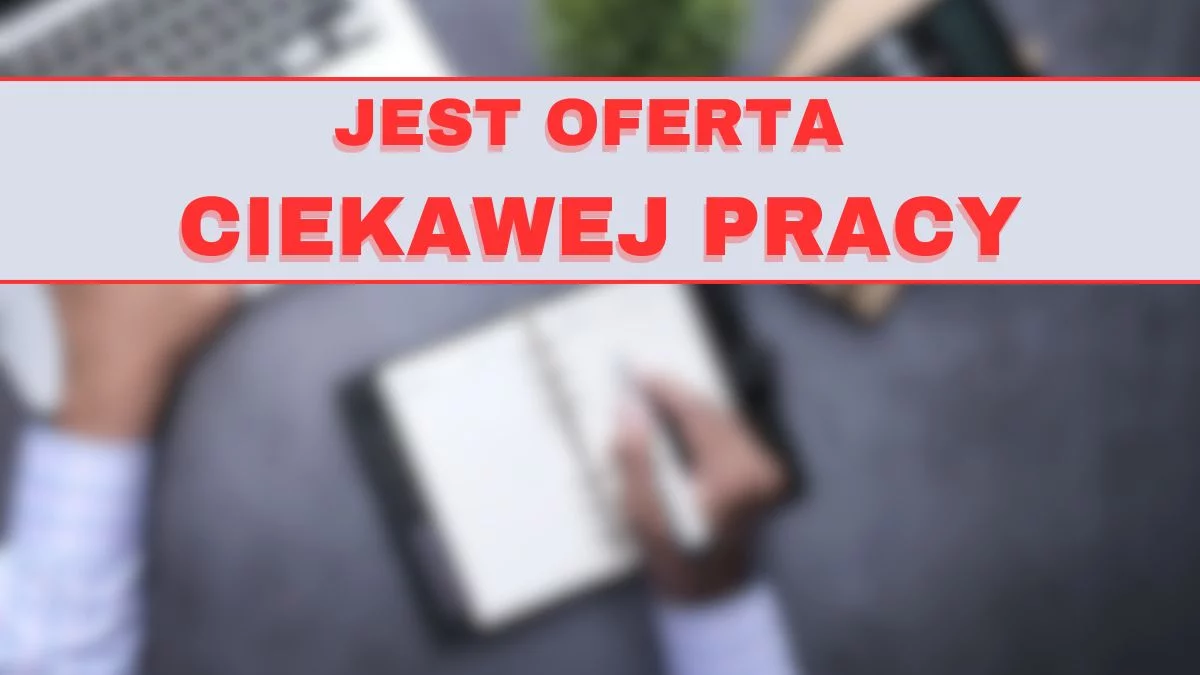 Lubisz zabytki? To może być praca twoich marzeń, oferują m.in. finansowe dodatki - Zdjęcie główne