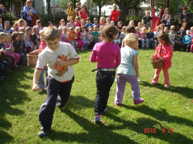 Rodzinny piknik prozdrowotny w &quot;Calineczce&quot; - Zdjęcie główne