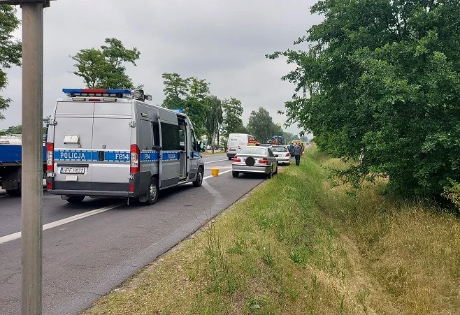 Karambol z udziałem siedmiu aut na DK 92 w Kutnie. Znamy przyczynę wypadku - Zdjęcie główne