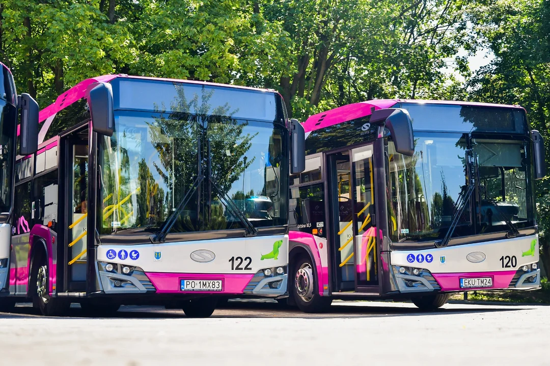 W autobusach MZK Kutno ruszyły specjalne badania. Mają pomóc w zaplanowaniu rozkładu jazdy - Zdjęcie główne