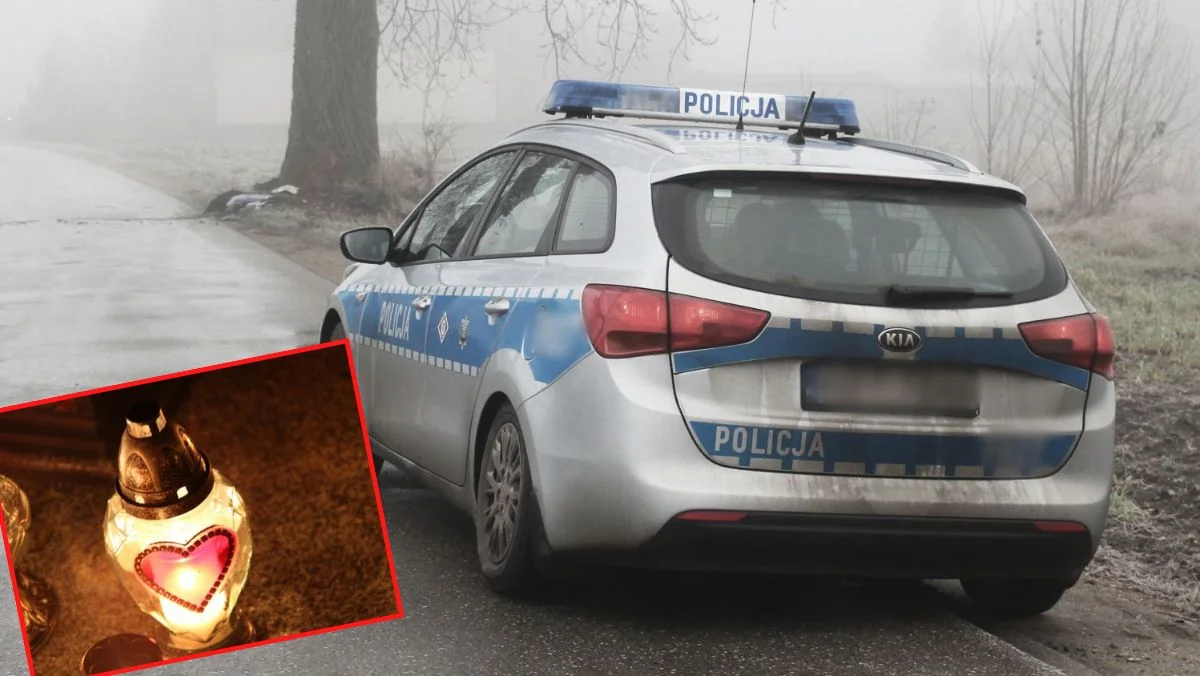 Cmentarna hiena w rękach policji. Okradała grób dziecka, żeby ozdabiać oczko wodne - Zdjęcie główne