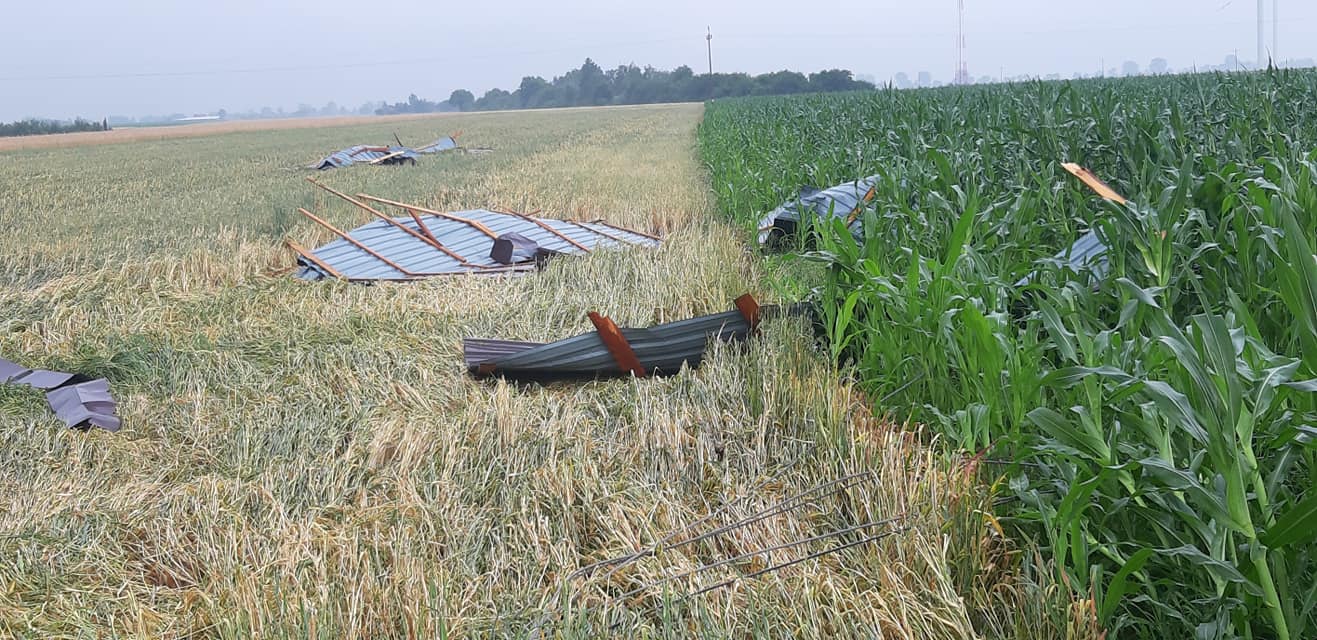 Gmina Dąbrowice zorganizuje pomoc dla mieszkańców