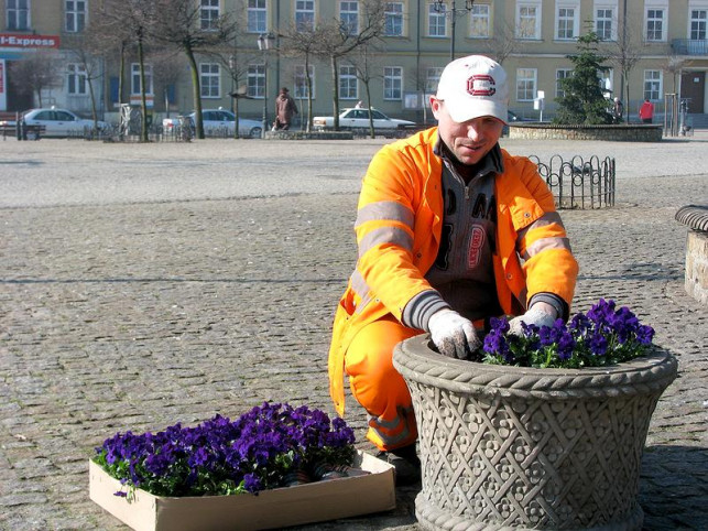 Kwieciście w centrum Kutna - Zdjęcie główne