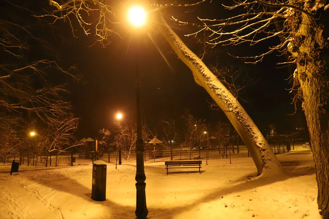 Park Wiosny Ludów w Kutnie