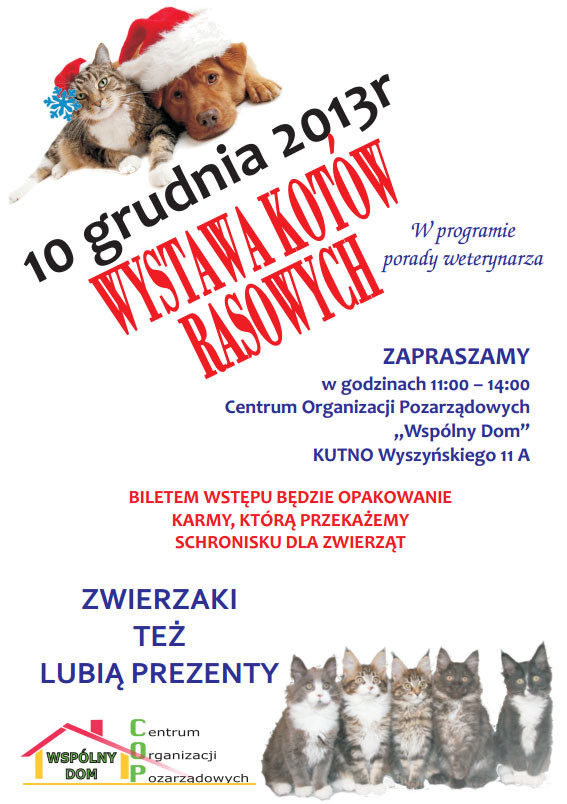 Wystawa kotów  rasowych - Zdjęcie główne