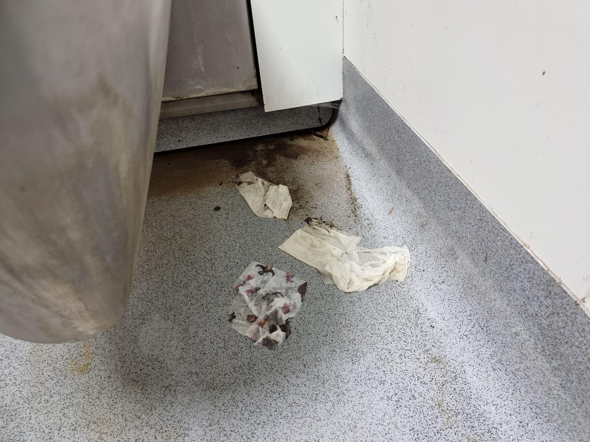 Stan toalety w Parku Wiosny Ludów daleki jest od ideału