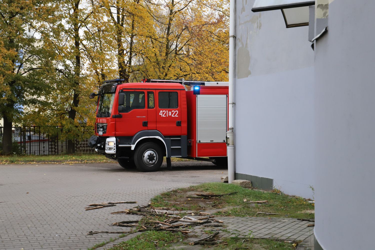 Drzewo przewróciło się na salę gimnastyczną przy SP nr 7