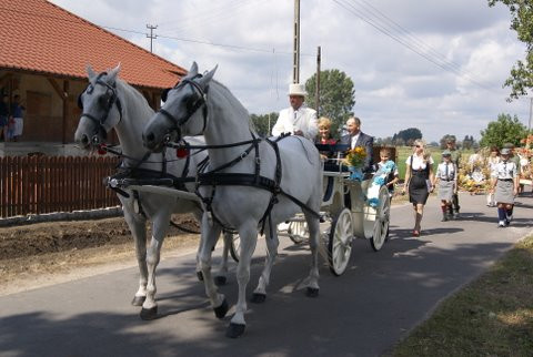 Udane dożynki w gminie Krośniewice - Zdjęcie główne