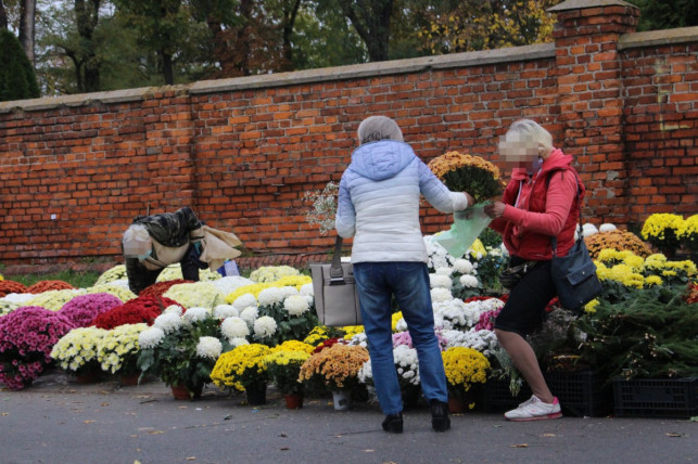 Będzie pomoc dla sprzedawców chryzantem. Znamy szczegóły - Zdjęcie główne