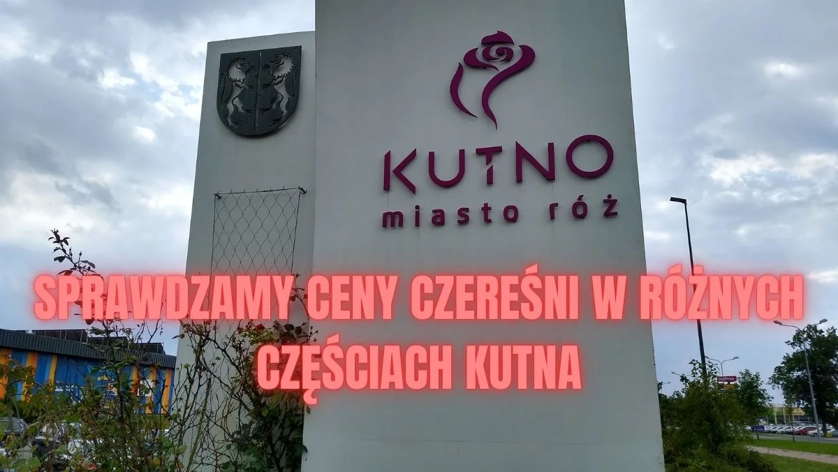 Czereśnie na stoiskach w Kutnie. Jakie są ceny w różnych miejscach? - Zdjęcie główne