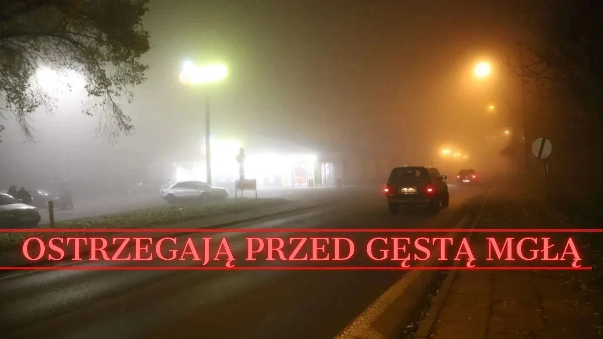 Kutno: uwaga na gęste mgły! Na drogach znów będzie niebezpiecznie - Zdjęcie główne