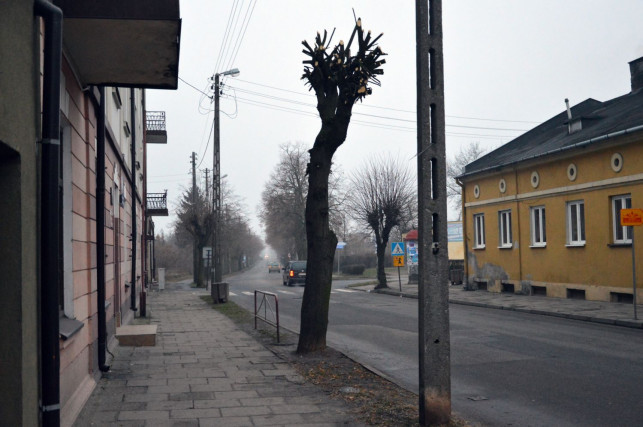 Starostwo zajęło się problemem rodziców - Zdjęcie główne