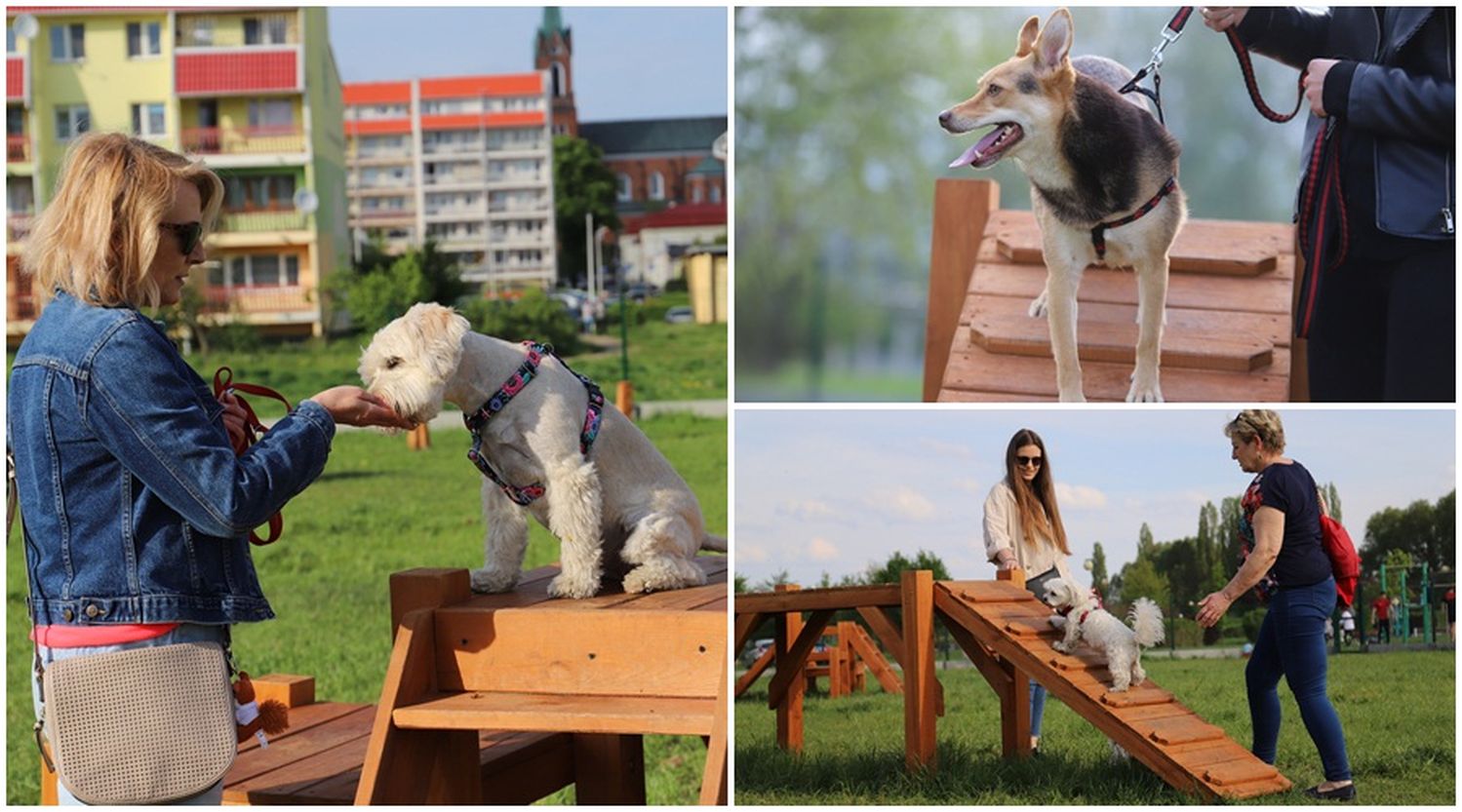 Nowe miejsce na mapie Kutna podbija serca mieszkańców! "Powinno być tego więcej" [ZDJĘCIA] - Zdjęcie główne