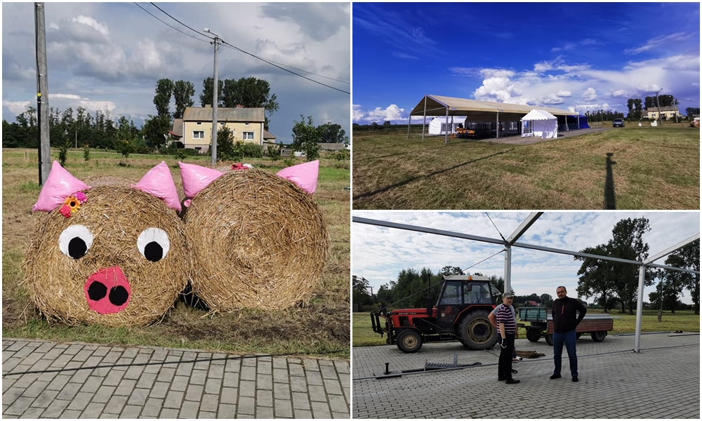 W Dąbrowicach praca wre. Trwają przygotowania do dożynek powiatowo-gminnych [ZDJĘCIA] - Zdjęcie główne