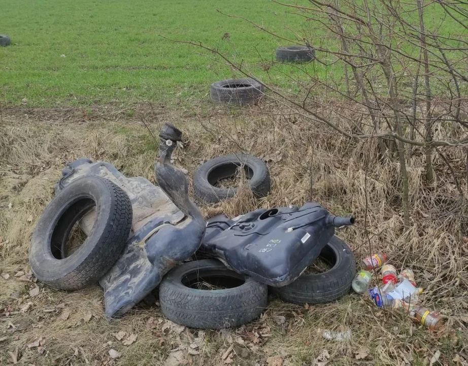 Będą walczyć z nielegalnym wywozem śmieci. Zakupiono 10 fotopułapek - Zdjęcie główne