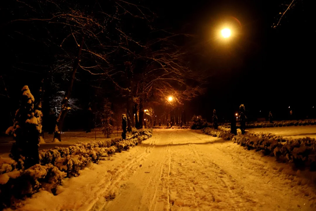 Park Wiosny Ludów w Kutnie