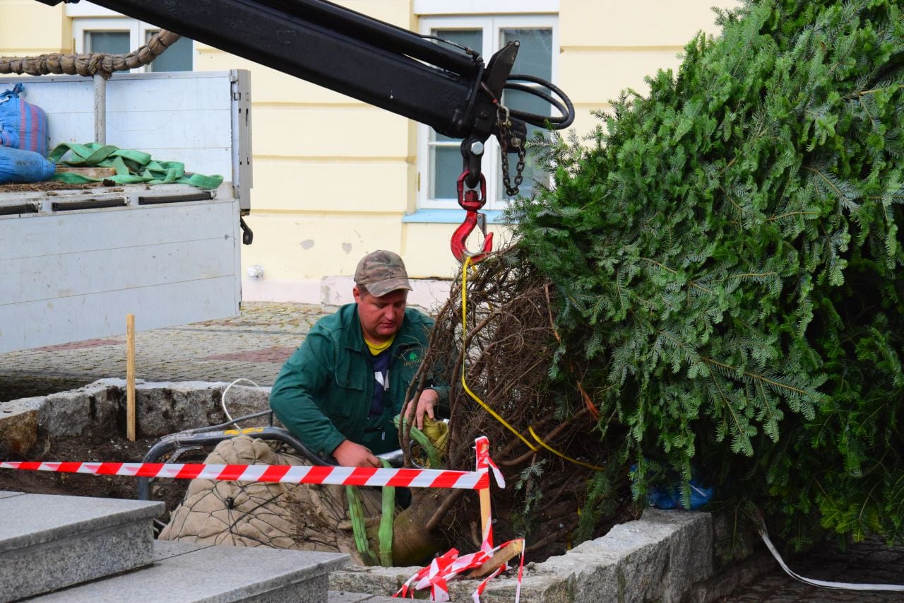 Dziś na Placu Tadeusza Kościuszki trwały prace związane z nasadzeniem jodły