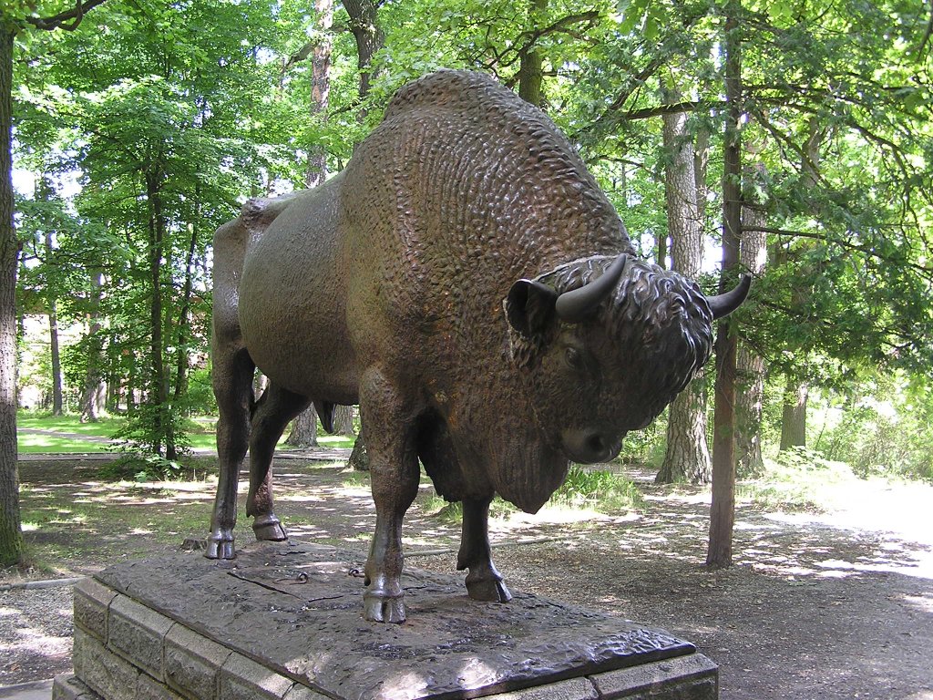 Pomnik żubra w Spale