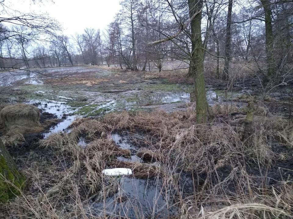 Strażacy z powiatu łęczyckiego pracują przy wzmacnianiu wału przeciwpowodziowego w miejscowości Kosew