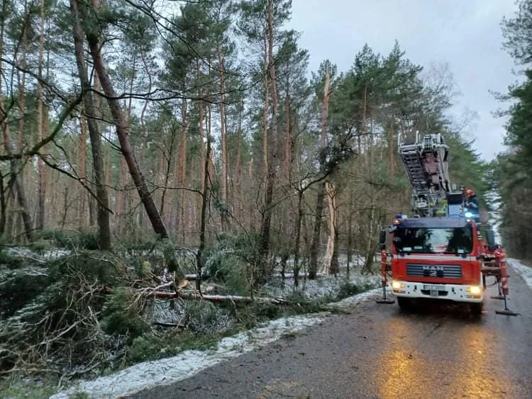 Nawałnica nad powiatem łęczyckim. Strażacy interweniowali kilkadziesiąt razy