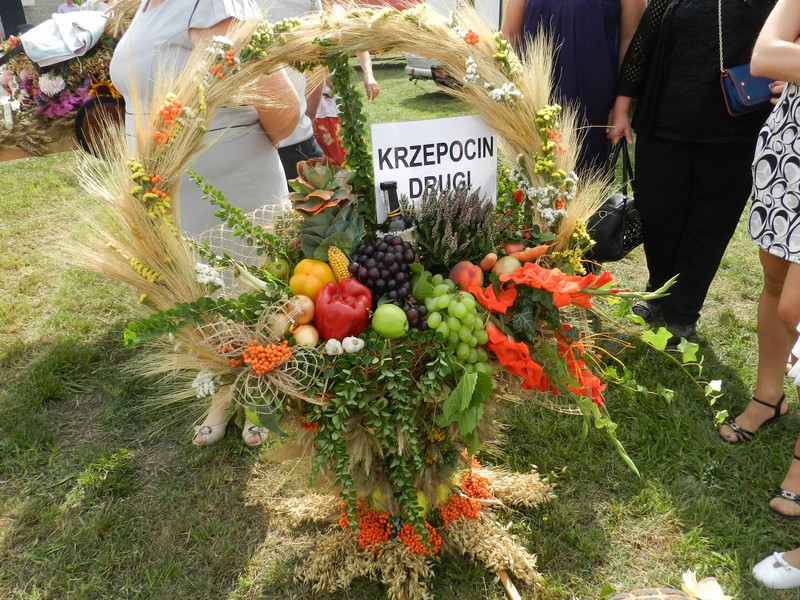 Okiem Kucharza: Oświadczenia, podsłuchy i afery, czyli dożynki po łęczycku - Zdjęcie główne