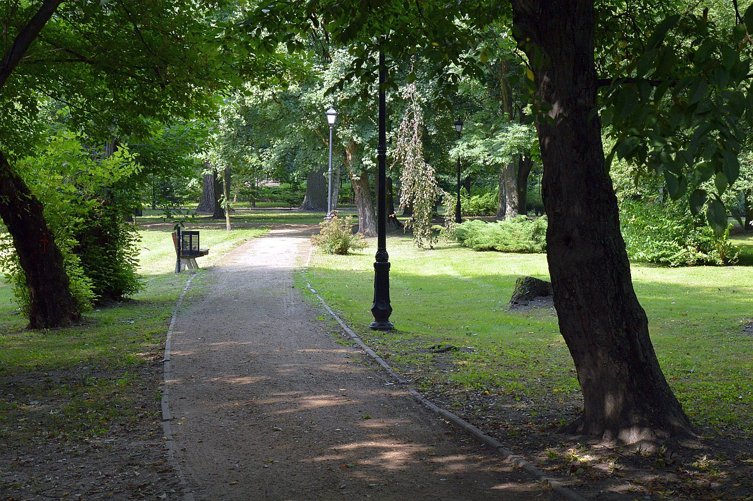 Łęczycki park odetchnie na nowo - Zdjęcie główne