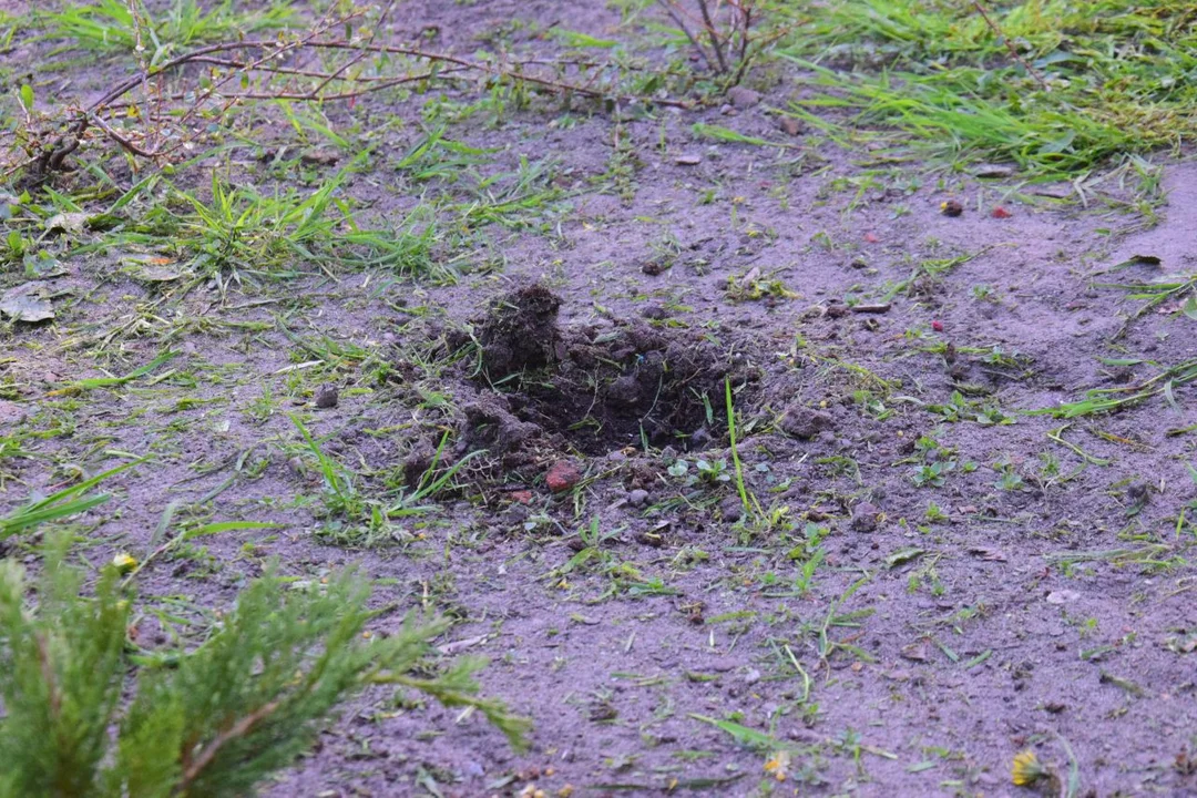 Wandale wyrządzili spore straty w Parku Miejskim w Łęczycy