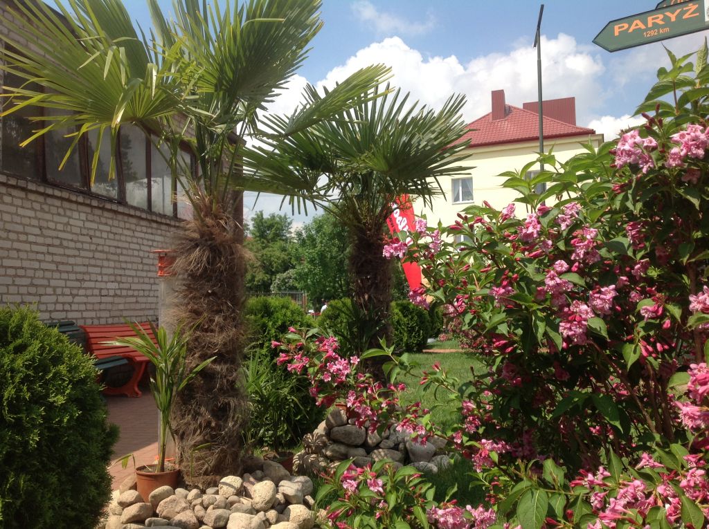 Start Letniego Sezonu Tenisowego 2016! - Zdjęcie główne