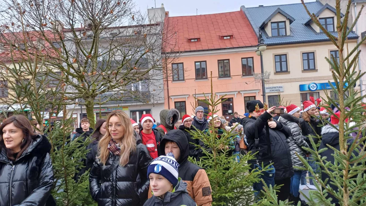 Jak co roku odbędzie się spotkanie mieszkańców. Będą ubierać choinki - Zdjęcie główne