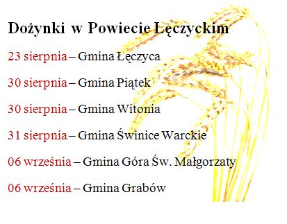 Dożynki w powiecie łęczyckim - Zdjęcie główne