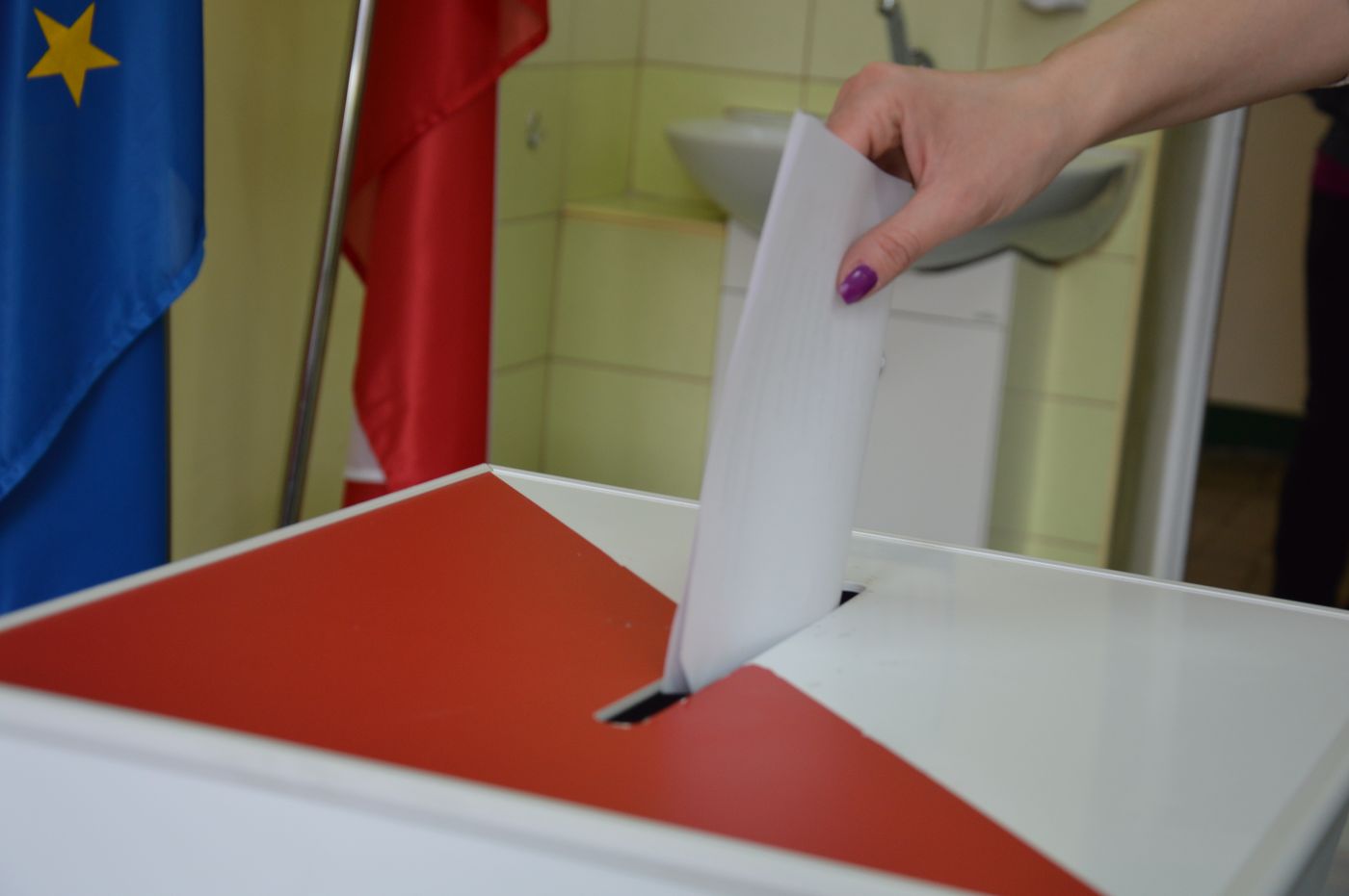 Okiem Kucharza: Referenda, opinia publiczna i wola ludu? Pfff… - Zdjęcie główne