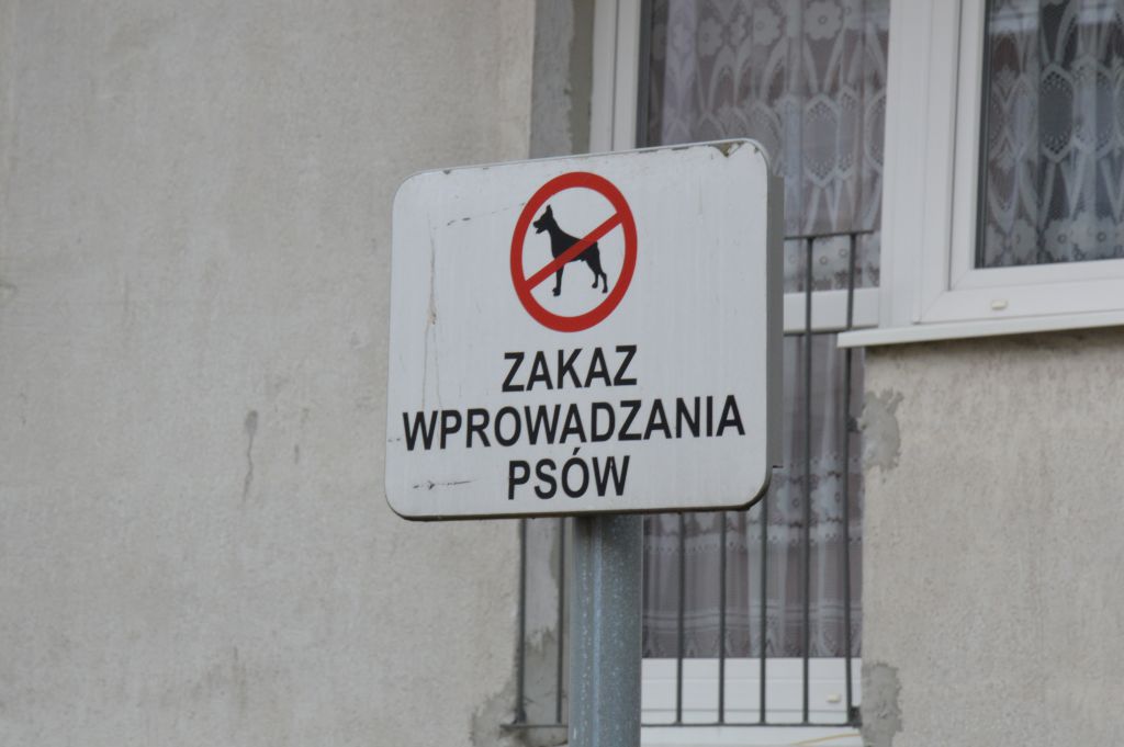 Posypią się mandaty za psie kupy? - Zdjęcie główne