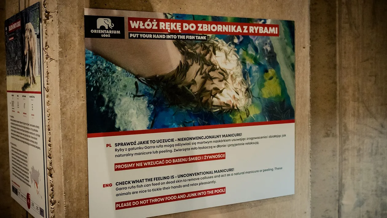 Łódzkie Orientarium otwarte. Zwiedzających zachwycają zwłaszcza rekiny i słonie