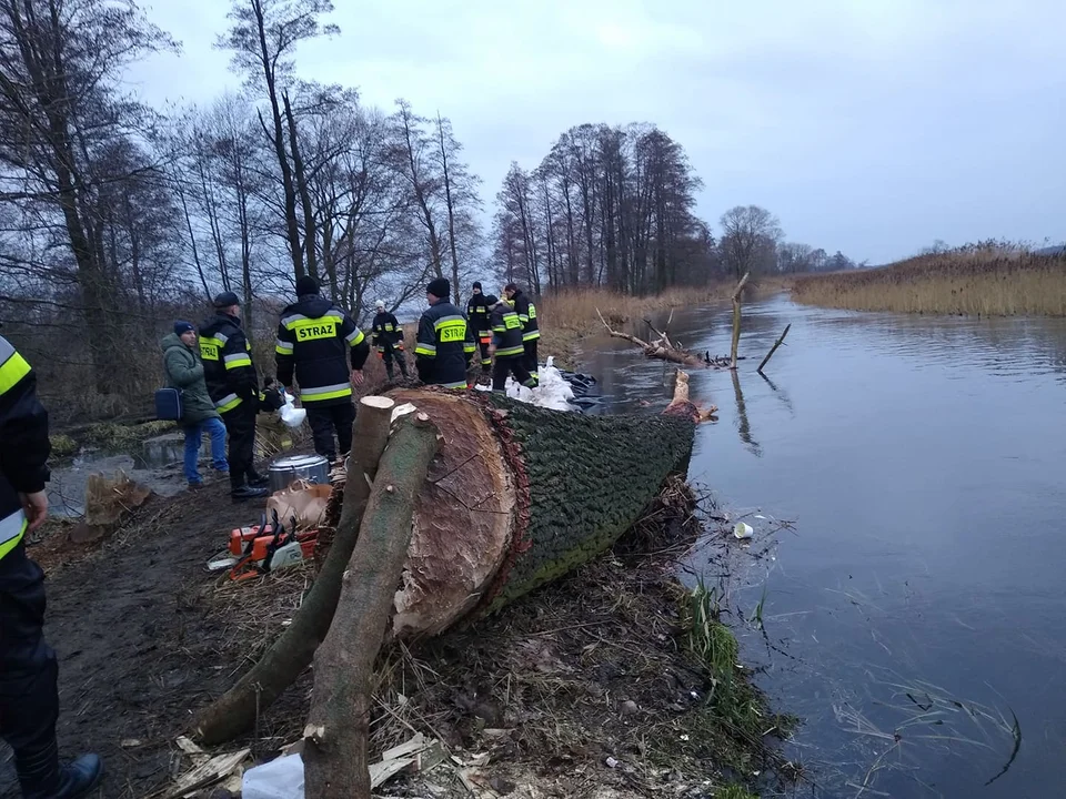 Strażacy z powiatu łęczyckiego pracują przy wzmacnianiu wału przeciwpowodziowego w miejscowości Kosew