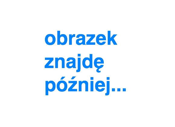 Dziś Dzień Walki z Prokrastynacją - Zdjęcie główne