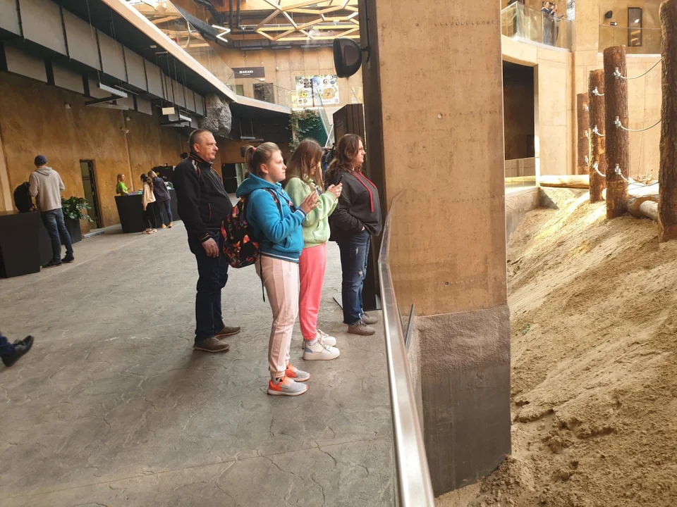 Łódzkie Orientarium otwarte. Zwiedzających zachwycają zwłaszcza rekiny i słonie