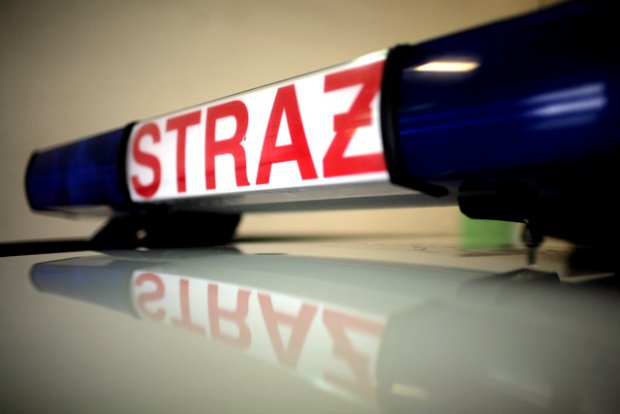 41 strażaków walczyło z pożarem - Zdjęcie główne