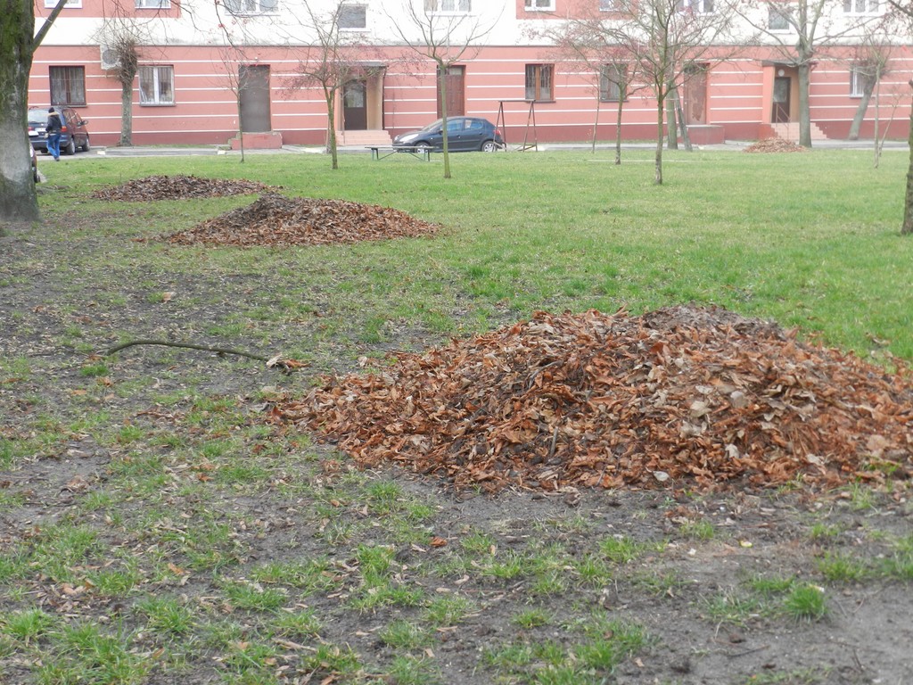 Grudzień w barwach jesieni - Zdjęcie główne