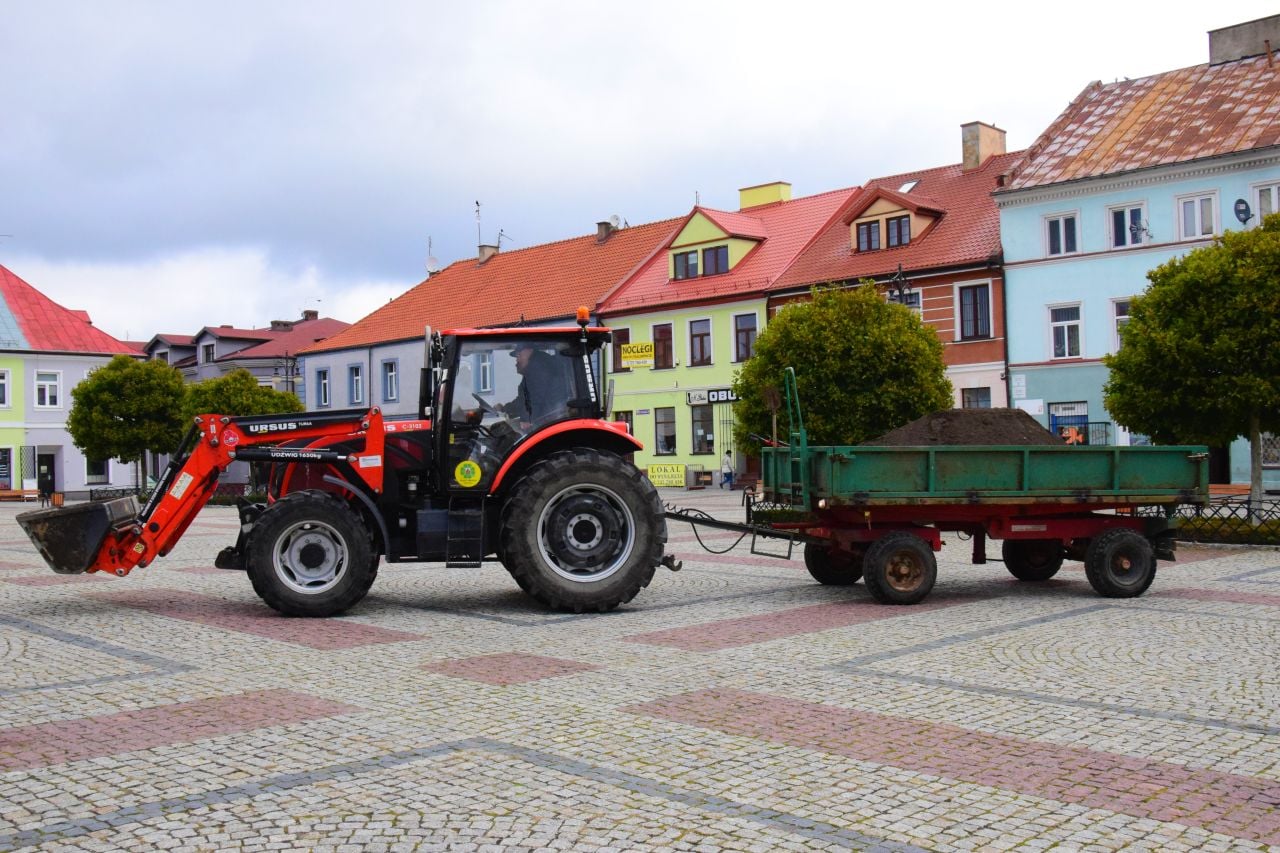 Dziś na Placu Tadeusza Kościuszki trwały prace związane z nasadzeniem jodły