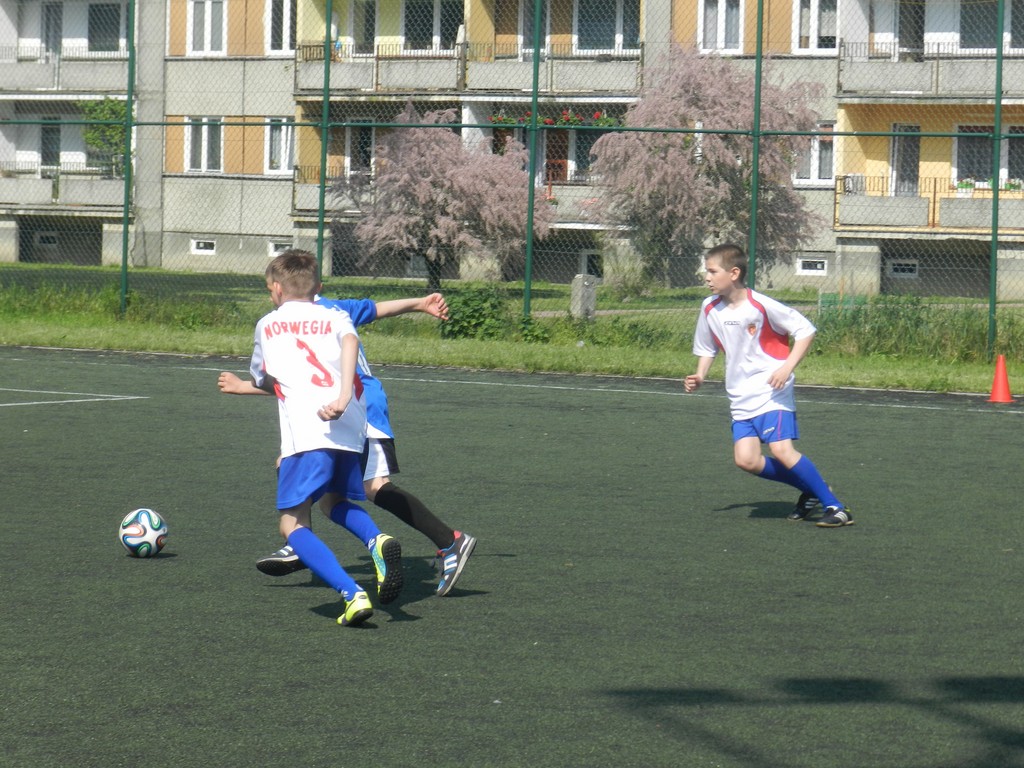 Dostępność miejskich obiektów sportowych w okresie wakacji letnich - Zdjęcie główne