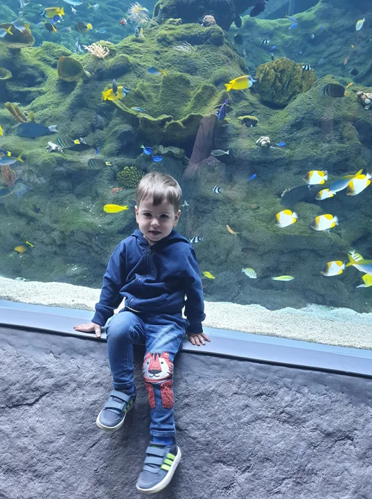 Łódzkie Orientarium otwarte. Zwiedzających zachwycają zwłaszcza rekiny i słonie