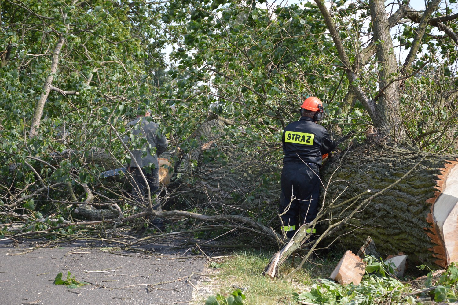 Mieszkańcy i strażacy walczą ze skutkami wichury - Zdjęcie główne