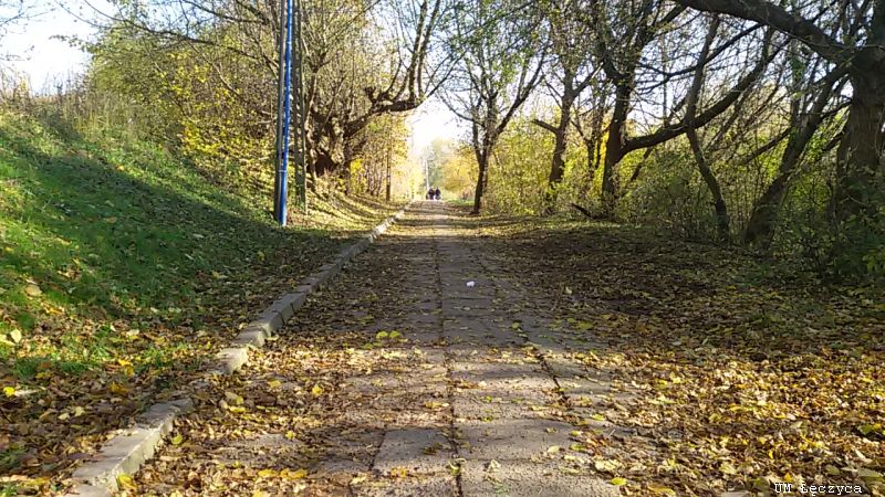 Kolejny chodnik remontowany w Łęczycy - Zdjęcie główne