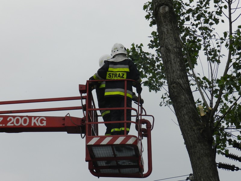 Krajobraz po nawałnicy. Najbardziej ucierpiała gmina Piątek - Zdjęcie główne