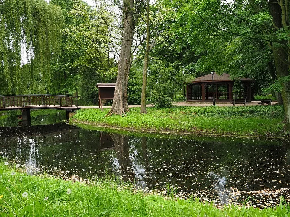 Piknik Ekologiczny już w tę niedzielę w Parku Miejskim. Przygotowano masę atrakcji! - Zdjęcie główne