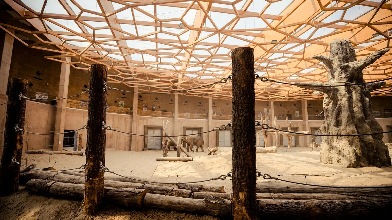 Łódzkie Orientarium otwarte. Zwiedzających zachwycają zwłaszcza rekiny i słonie